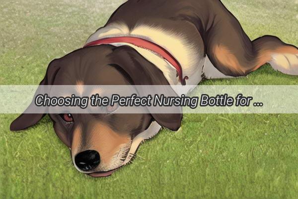 Choosing the Perfect Nursing Bottle for Your Pup A Guide to Baby Bottle Bliss for Canine Companions